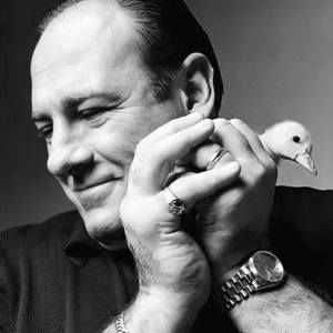 Meet your Posher, Abril